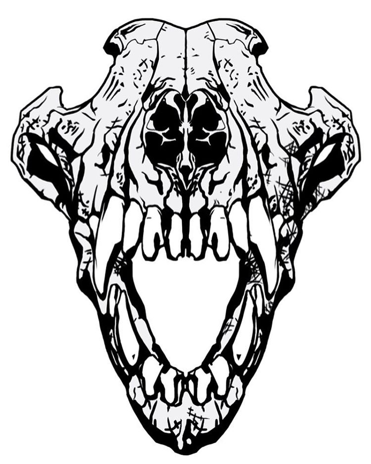 750x937 St Decal Illo