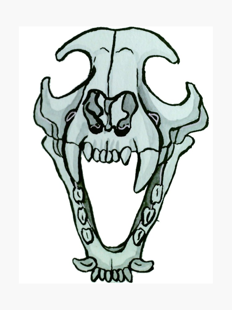 750x1000 Wolf Skull Photographic Print