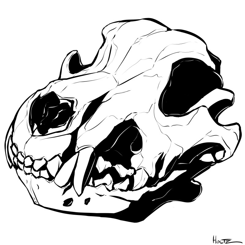 800x800 C Memento Mori