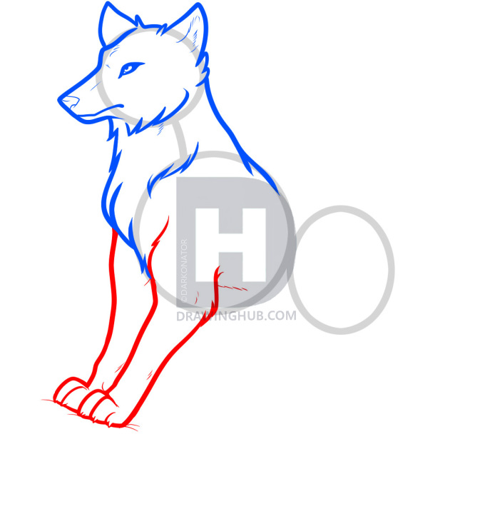 673x720 How To Draw Anime Wolves, Anime Wolves, Step