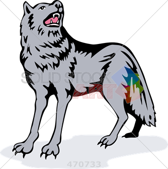 340x342 Rocky Drawing Gray Wolf, Picture