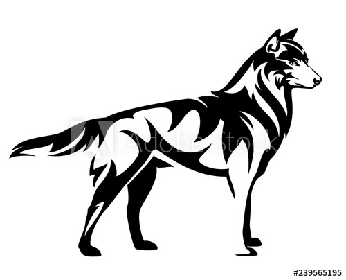500x404 Standing Wild Wolf Back And White Vector Side View Outline