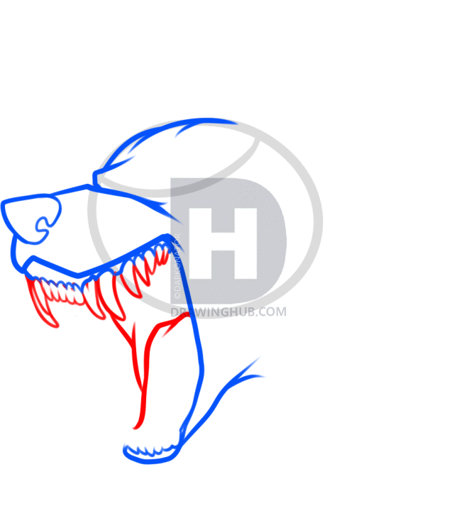 654x720 How To Draw A Wolf, Step