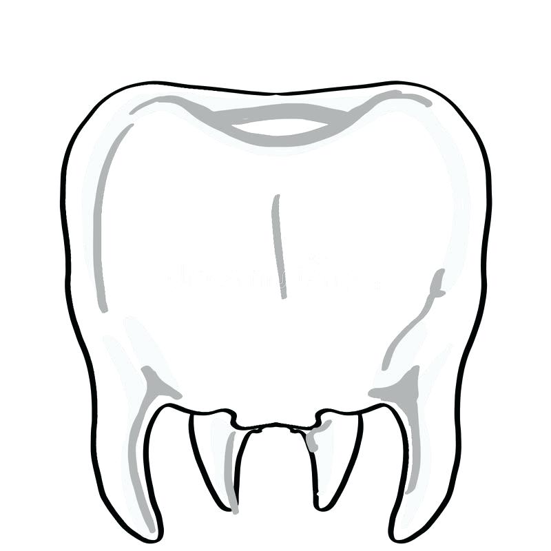 800x800 Tooth Drawing How To Draw Teeth Step Brushing Easy Crazywind