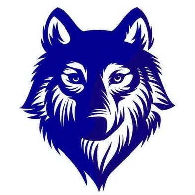 393x393 Totem Wolf Digital