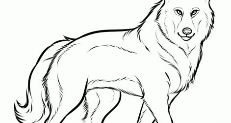 471x250 Wolf Cartoon Drawing With Wings Wolves Step