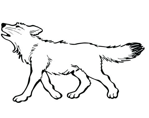 480x381 Wolves Coloring Pages Wolf Face For Adults Realistic To Print