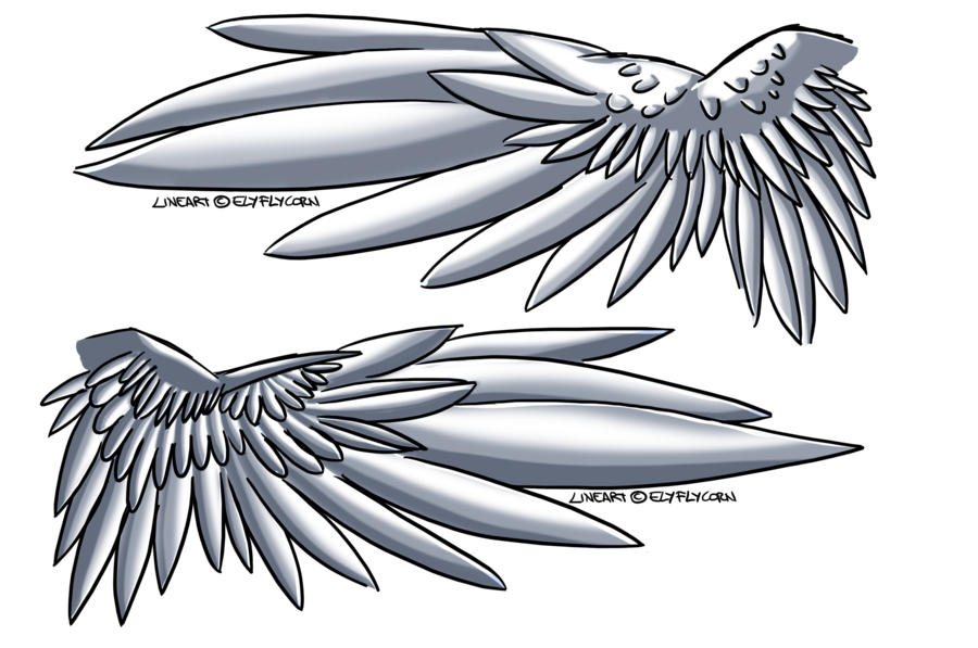 900x597 Collection Of Free Wing Drawing Anime Download On Ui Ex