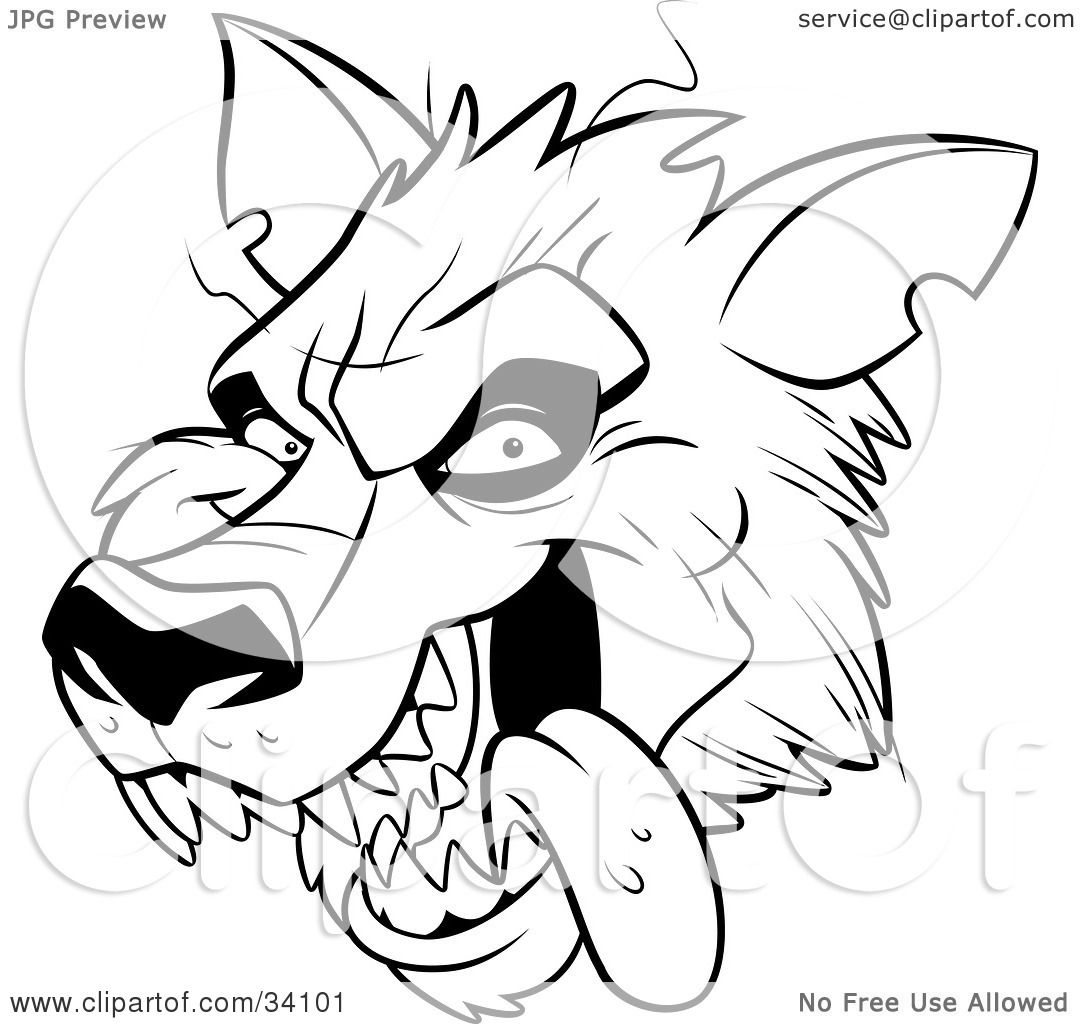 1080x1024 clipart illustration of a panting werewolf head with fangs