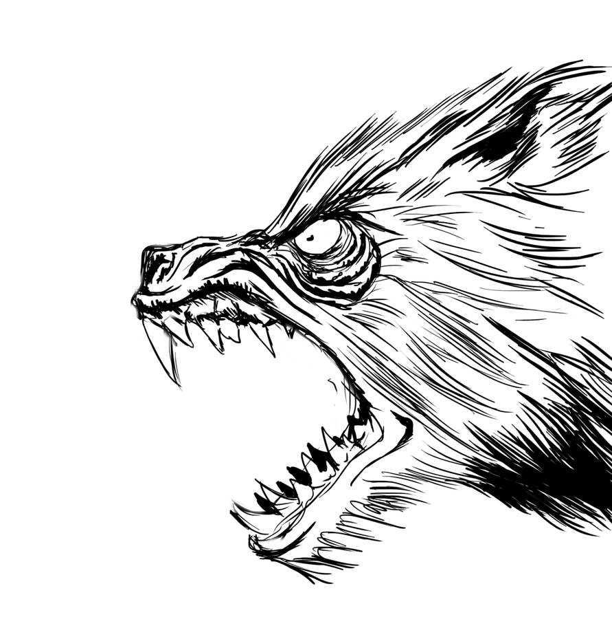 891x897 A Werewolf Sketch