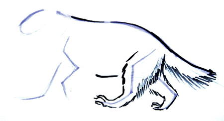 450x243 How To Draw A Wolverine Animal