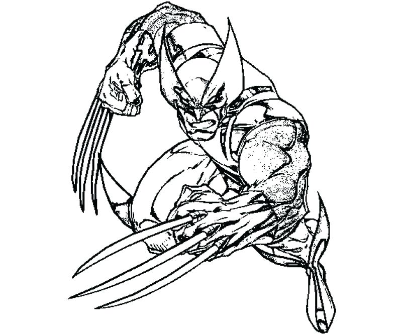 800x667 Wolverine Coloring Pictures