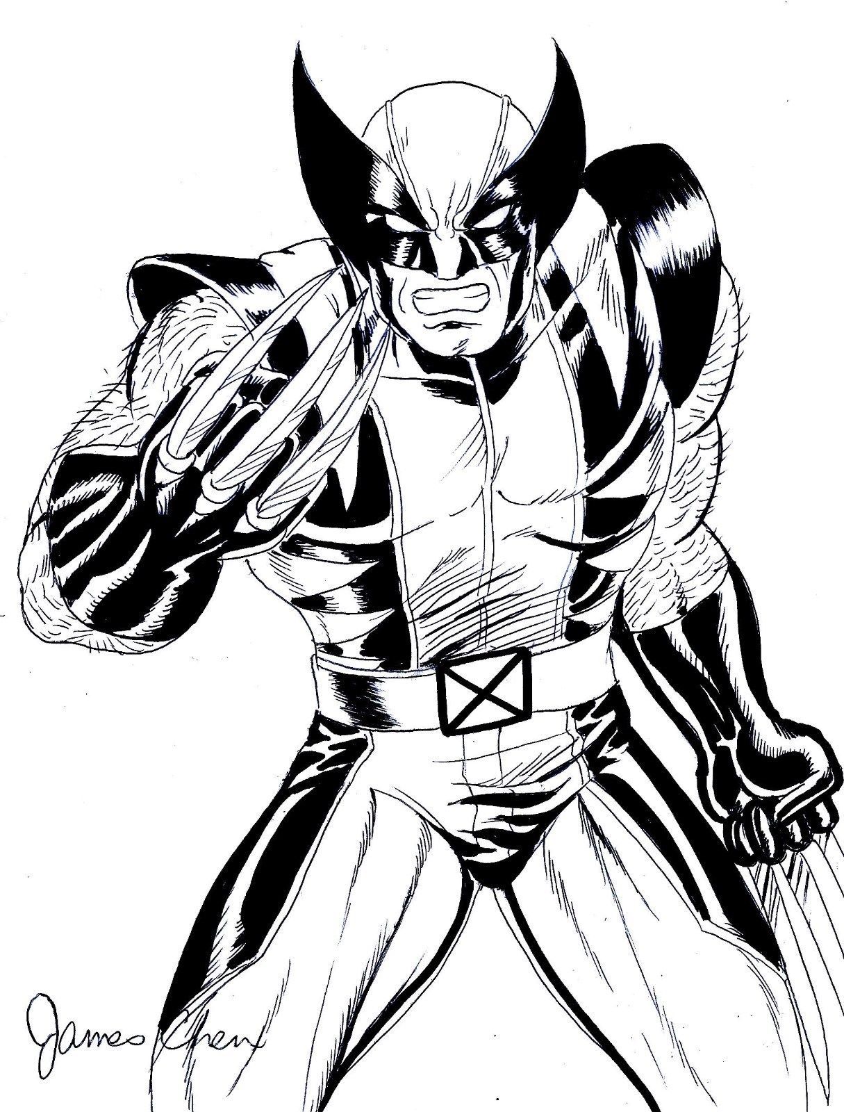 Wolverine Drawing | Free download on ClipArtMag