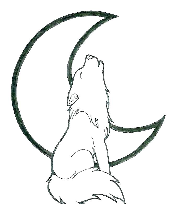 693x777 Coloring Pages Wolf Wolf Coloring Pages To Print Charming