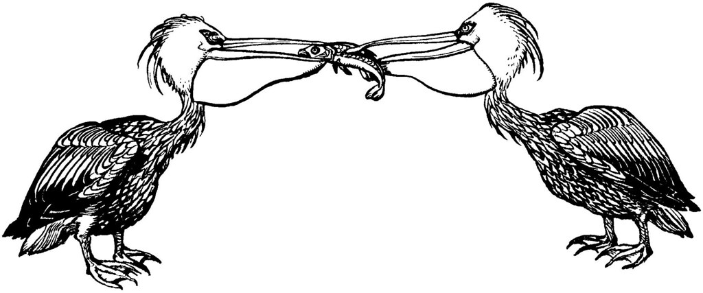 1024x427 The World's Best Photos Of Lineart And Wolf