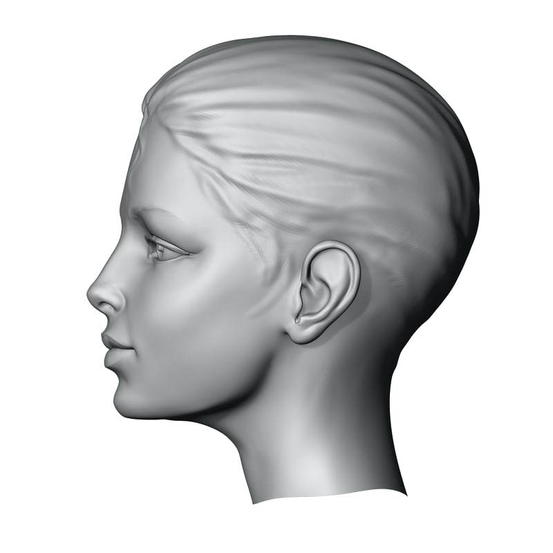 800x800 Free Woman Head Model Superhero Body Template Outline