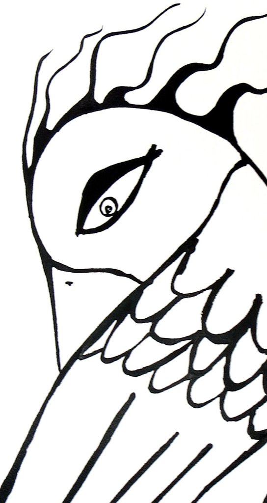 544x1024 Bird Woman Ink Drawing Racheljohns
