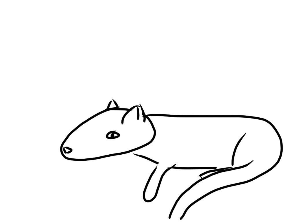 1024x768 Flat Cat Occasional Wombat