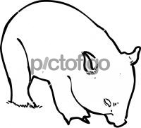 200x181 Freehand Drawing Image From Pictofigo For Wombat