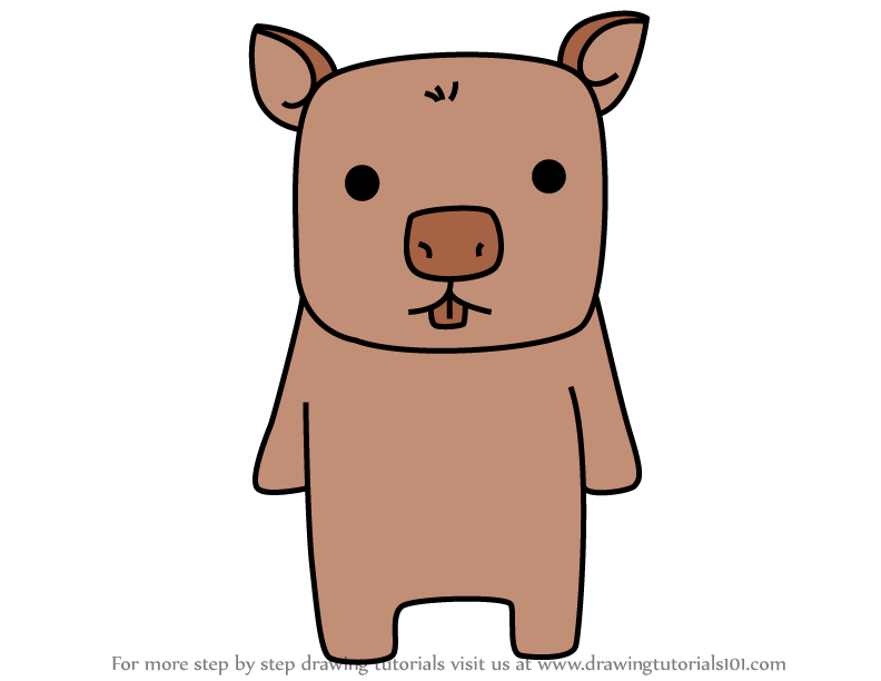 792x612 How To Draw A Wombat For Kids Video