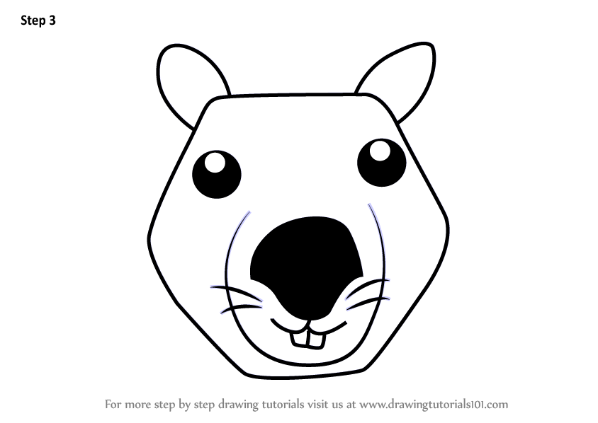 844x598 Learn How To Draw A Wombat Face For Kids