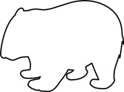180x134 Wombat Drawing Outline