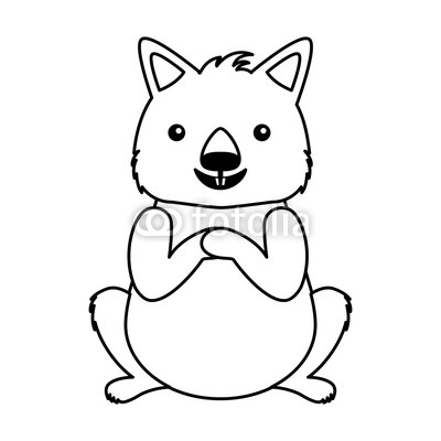 400x400 Wombat Australian Fauna On White Background Buy Photos Ap