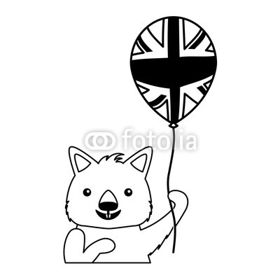 400x400 Wombat With Hat And Balloon Australian Celebration Buy Photos