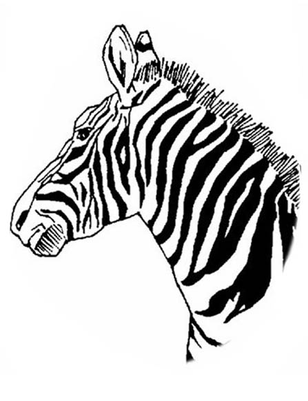 447x582 Free Transfer Art