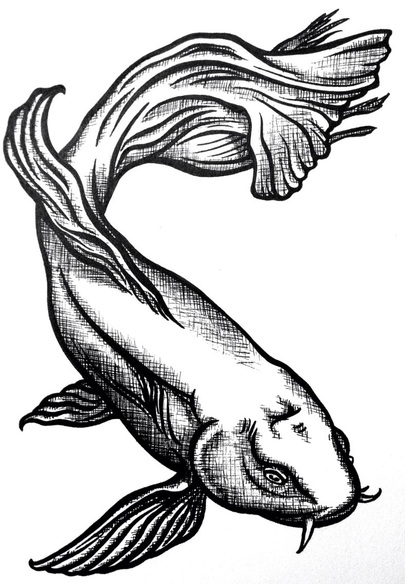 788x1136 Koi Fish Tattoo Idea Drawings And Paintings Draw, Wood Carving