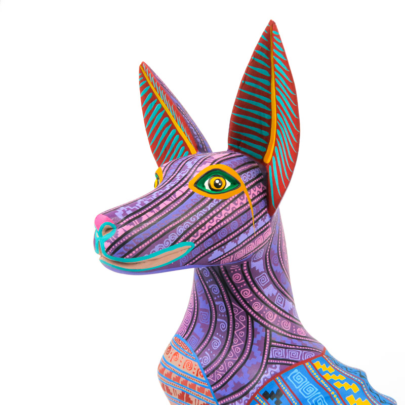 800x800 Xoloitzcuintli Dog