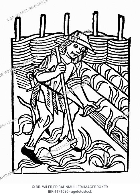 489x680 xylograph age drawing stock photos and images age fotostock