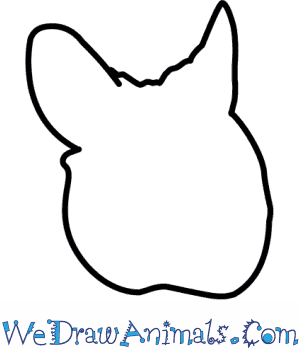 300x350 How To Draw A Wood Mouse