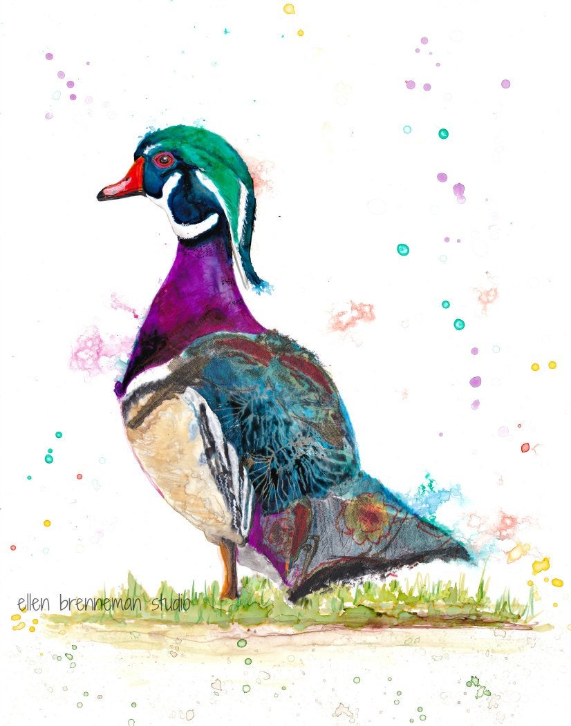826x1051 Colorful Wood Duck Art Print