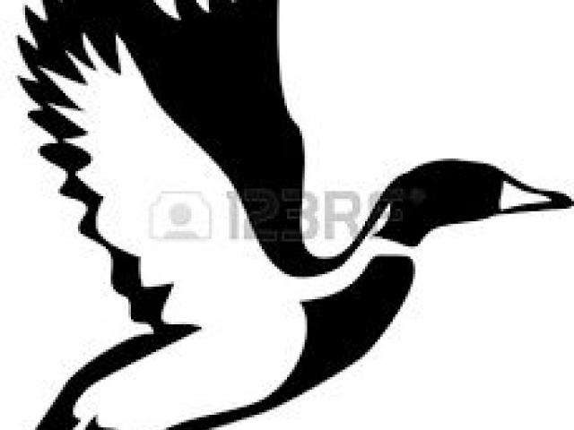 640x480 Free Wood Duck Clipart, Download Free Clip Art