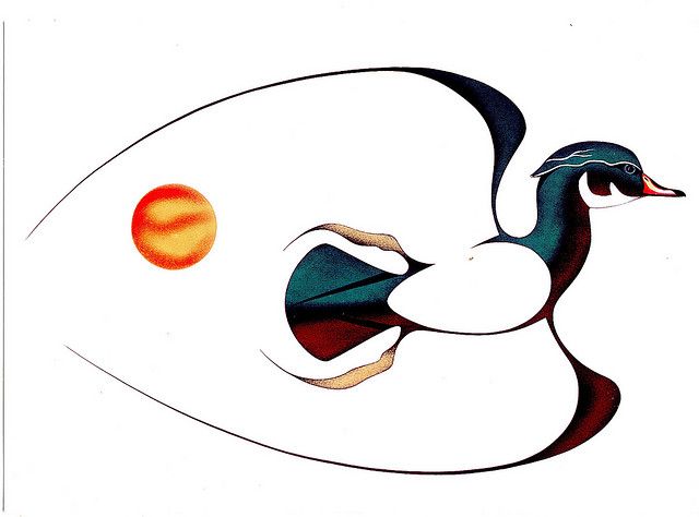 640x474 Isaac Bignell Swampy Cree The Wood Duck, Canadian Native Art