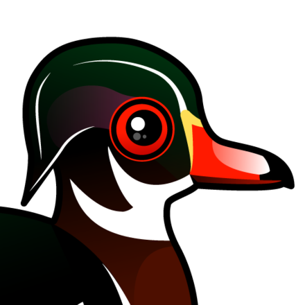 440x440 Collection Of Free Duck Drawing Clip Art Download On Ui Ex