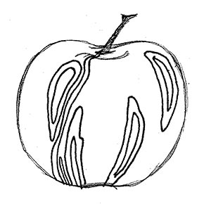 290x290 Apply Textures To Apples Art Lesson