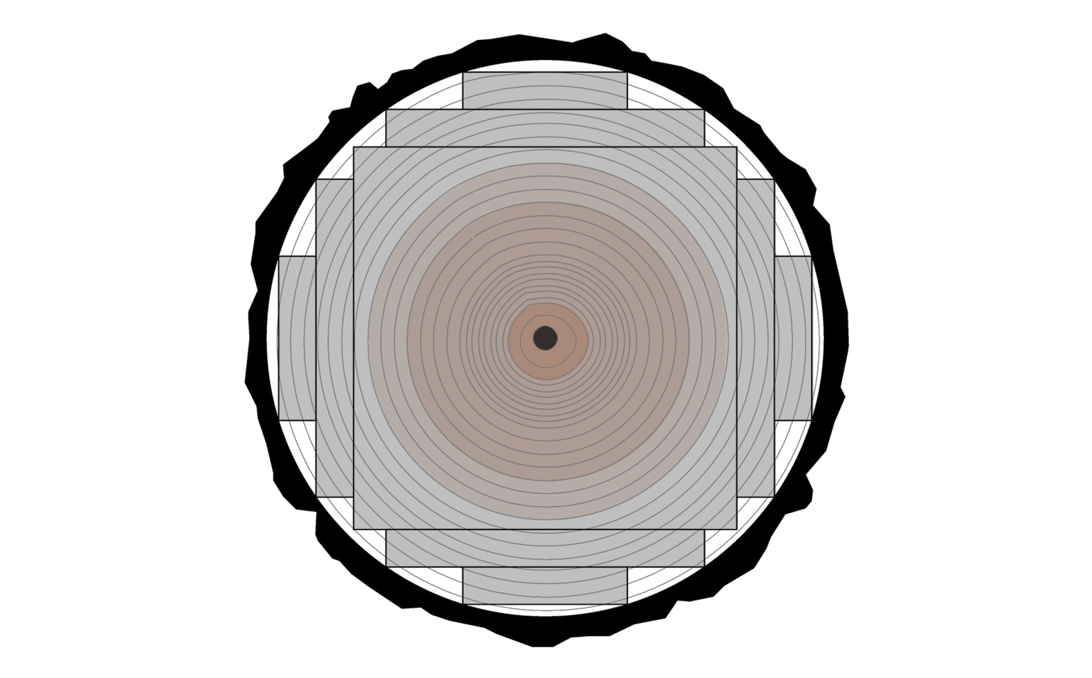 1582x983 Gallery Of How Tree Trunks Are Cut To Produce Wood With Different