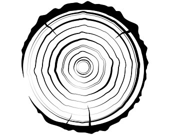 340x270 Wood Silhouette Etsy