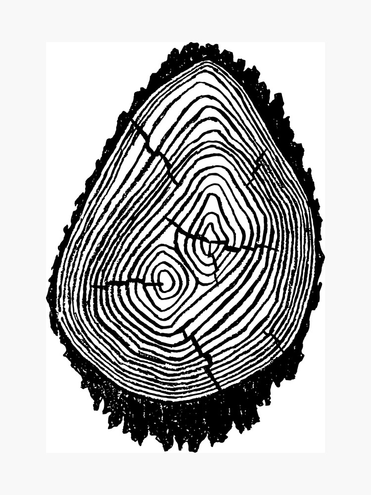 750x1000 Wood Log Drawing Photographic Print