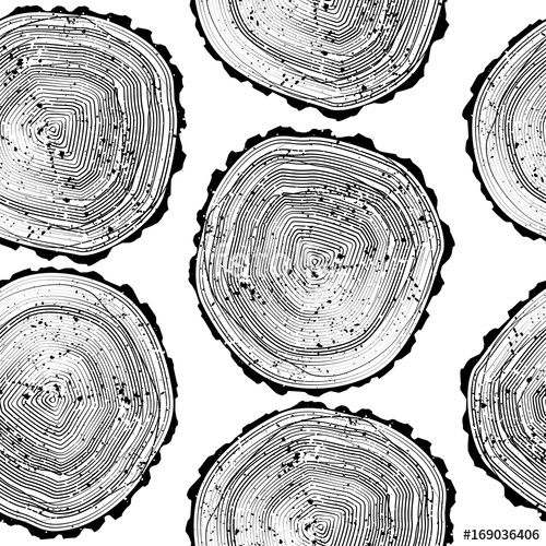 500x500 Pattern With Tree Black And White Rings Background Nature Wood