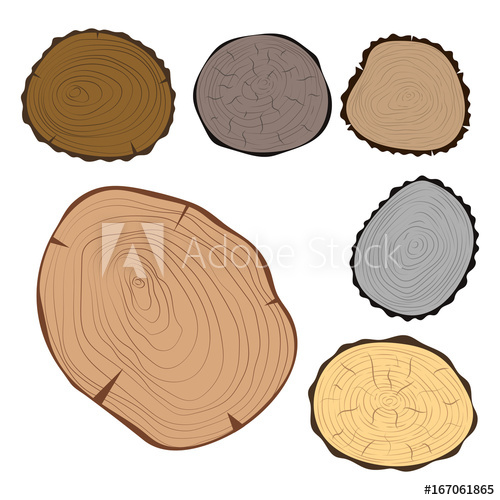 500x500 Wood Slice Texture Tree Circle Cut Raw Material Set Detail Plant