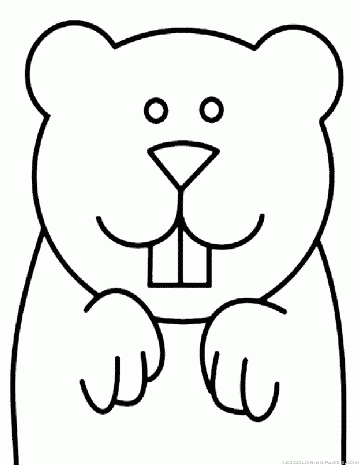 720x930 Groundhogwoodchuck Coloring Pages