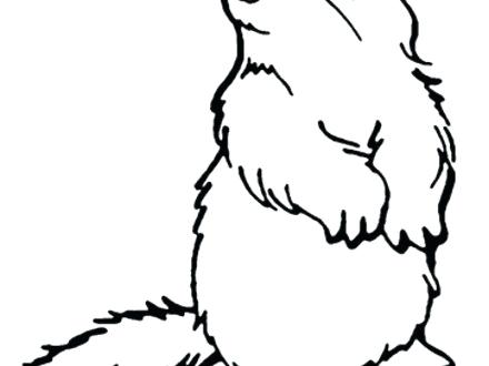 440x330 Woodchucks Coloring Pages
