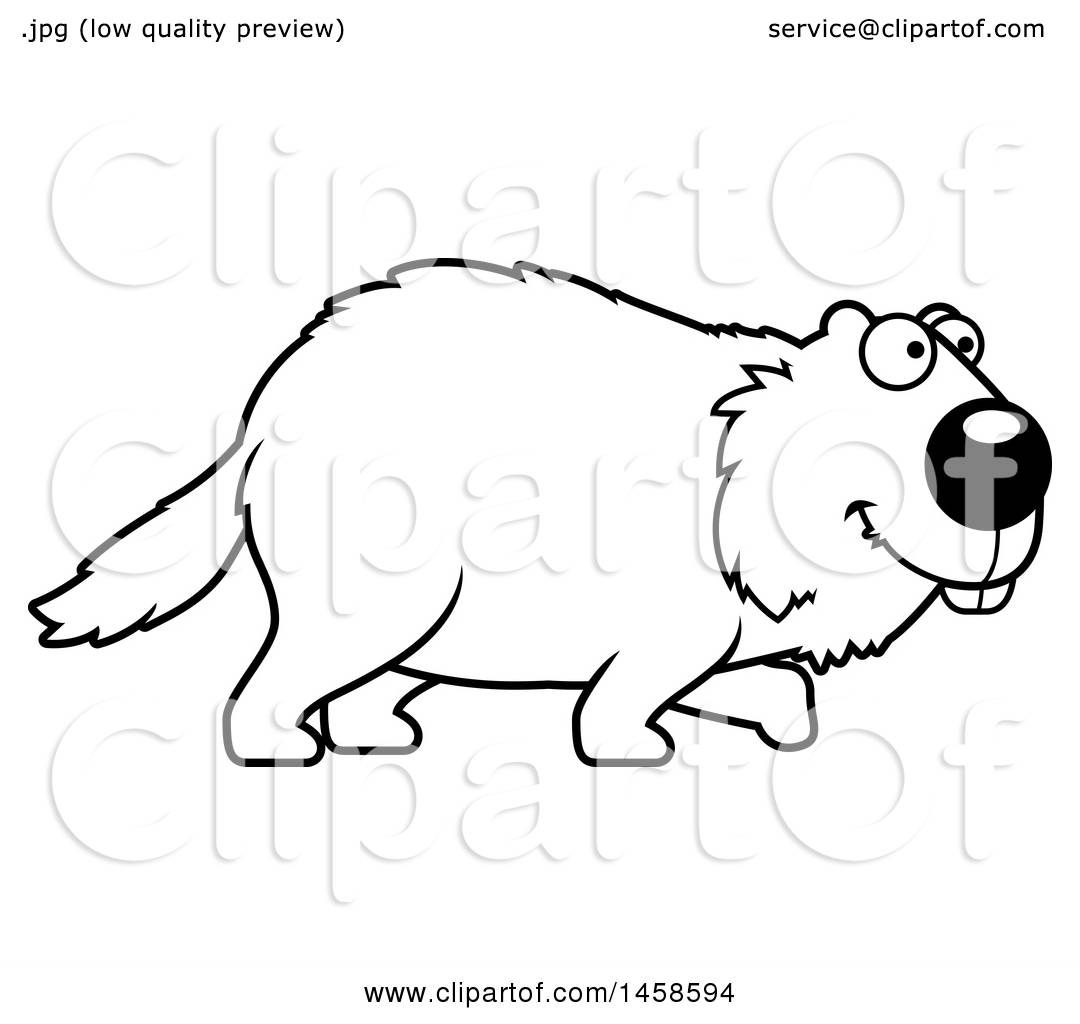 1080x1024 clipart of a black and white happy woodchuck groundhog whistlepig