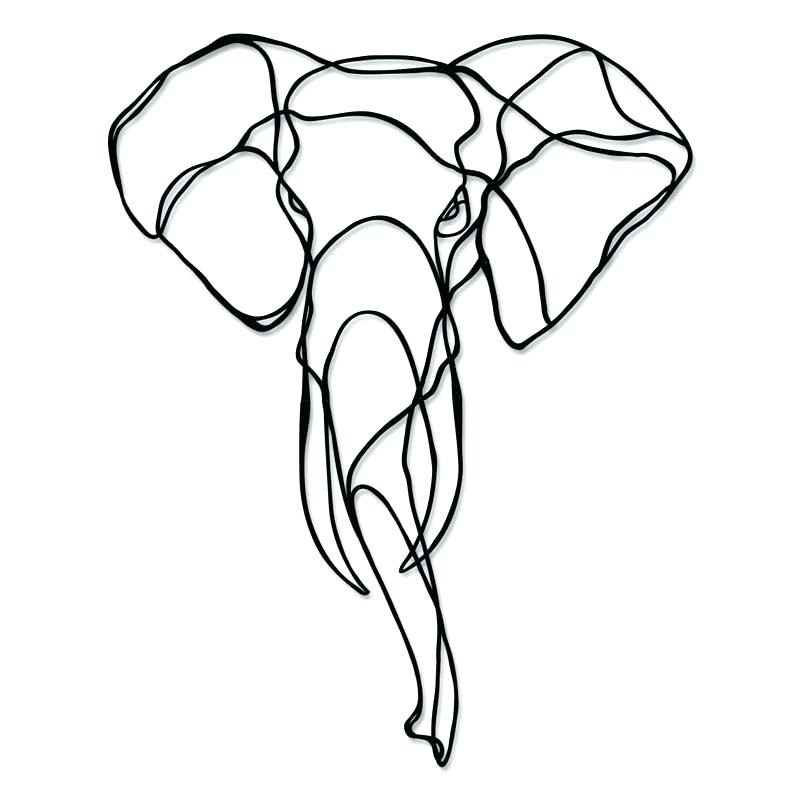 800x800 Elephant Head Drawing