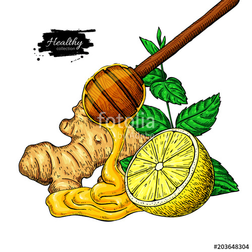500x500 Honey, Ginger, Lemon And Mint Vector Drawing Wooden Spoon, Honey