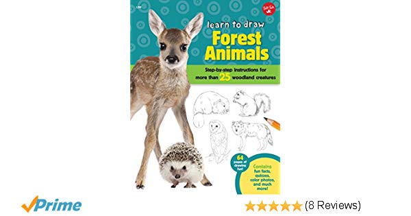 600x315 Learn To Draw Forest Animals Step