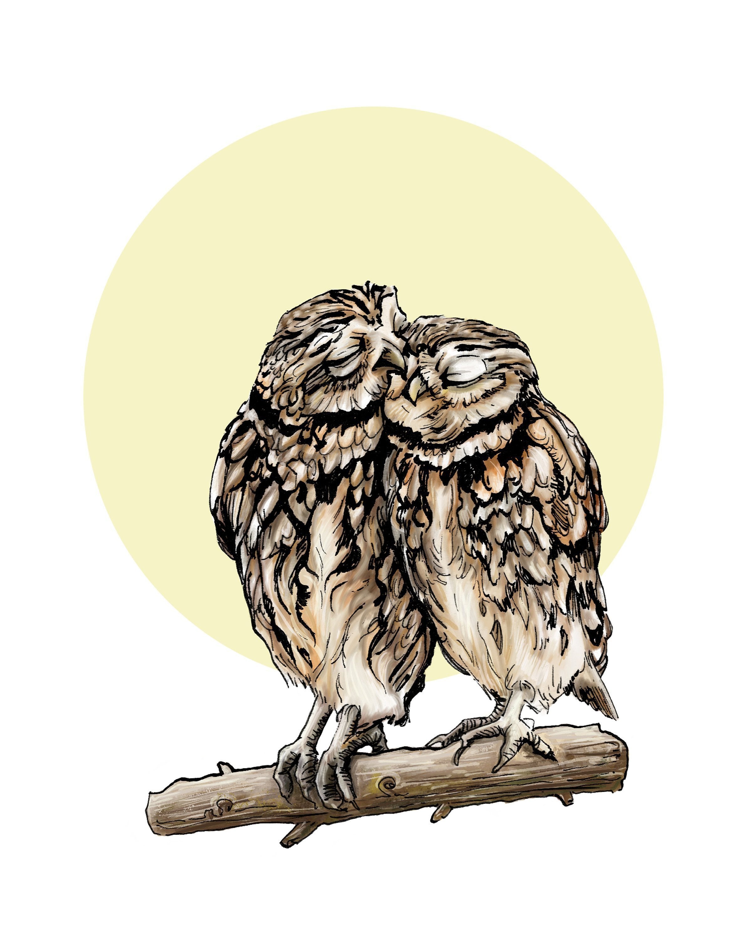 2400x3000 Owls In Love Love Owls Print Birds Print Print Of An Etsy